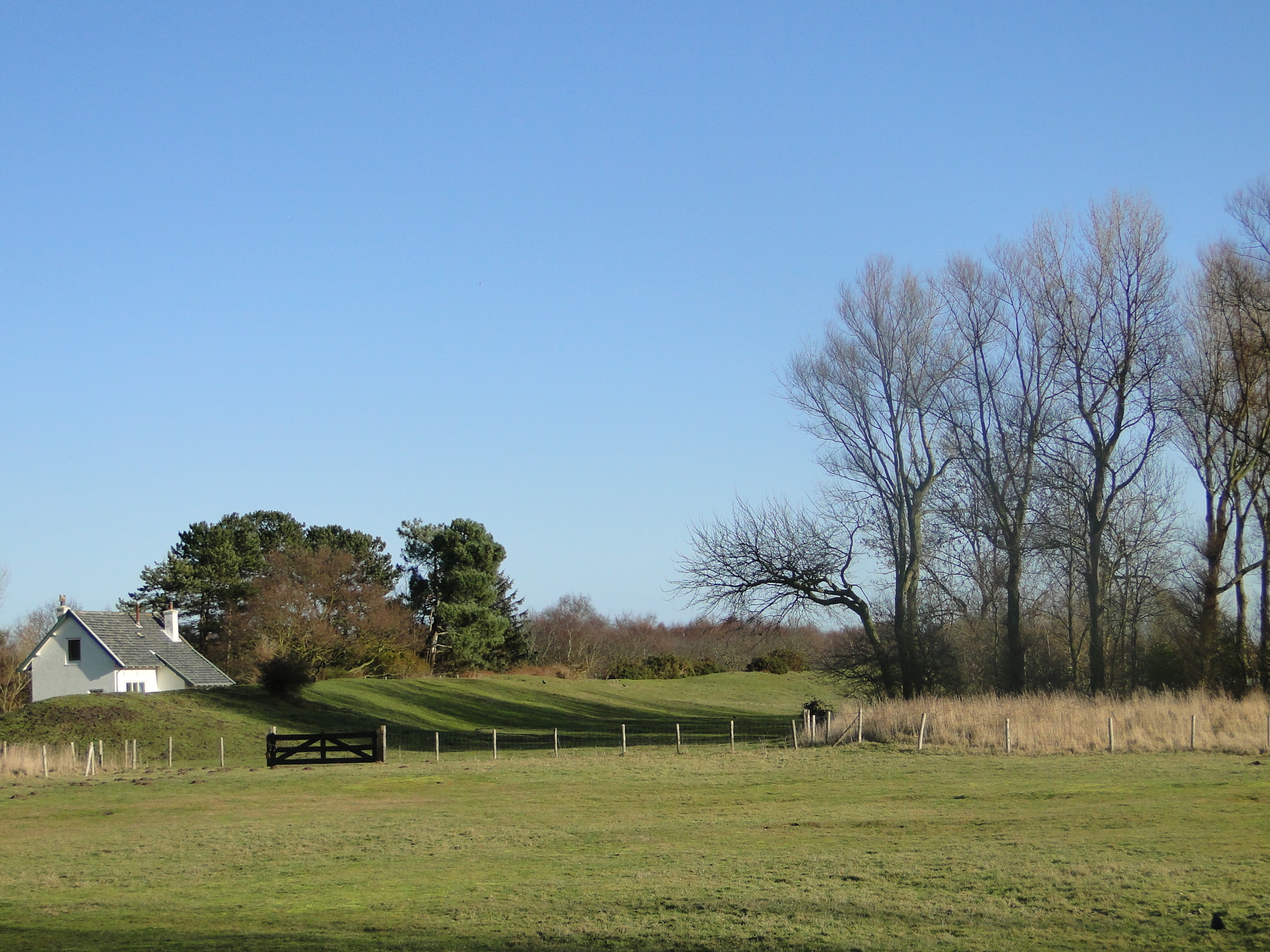 NWK 2010 203.jpg